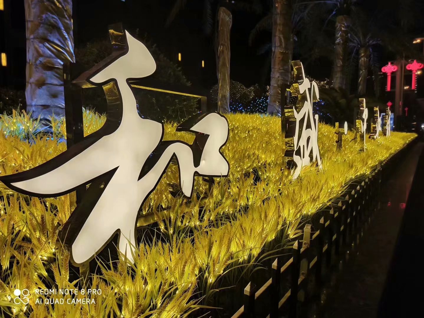 ҹ������